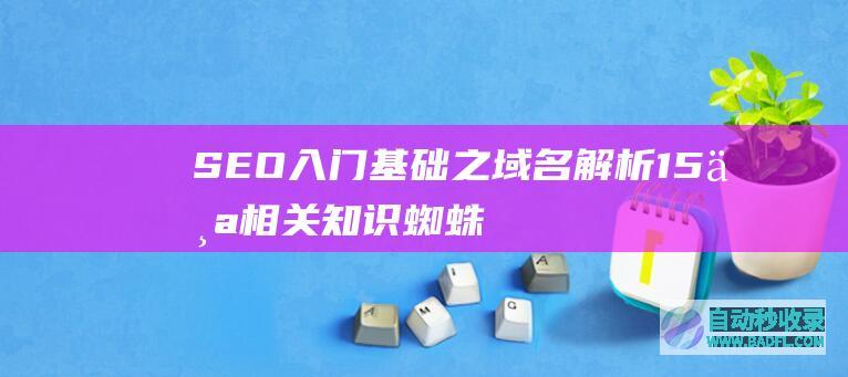 SEO入门基础之域名解析15个相关知识_蜘蛛技巧