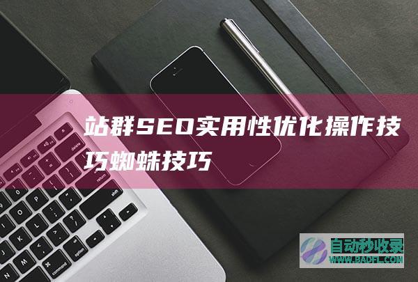 站群SEO实用性优化操作技巧_蜘蛛技巧