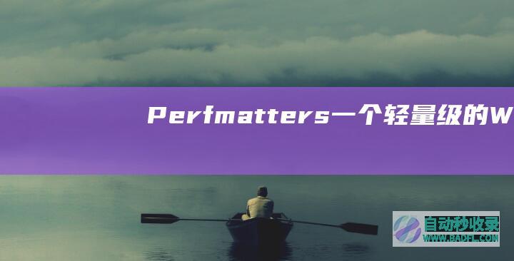 Perfmatters一个轻量级的Word