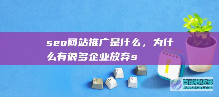 seo网站推广是什么，为什么有很多企业放弃seo优化推广
