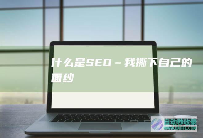 什么是SEO–我撕下自己的面纱