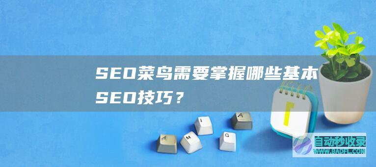 SEO菜鸟需要掌握哪些基本SEO技巧？