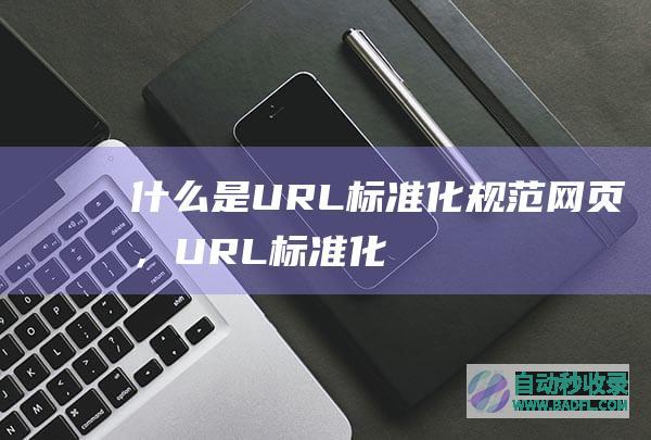 什么是URL标准化（规范网页），URL标准化设置