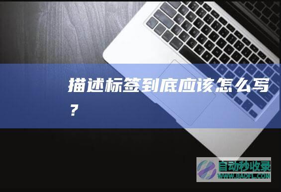 描述标签到底应该怎么写？