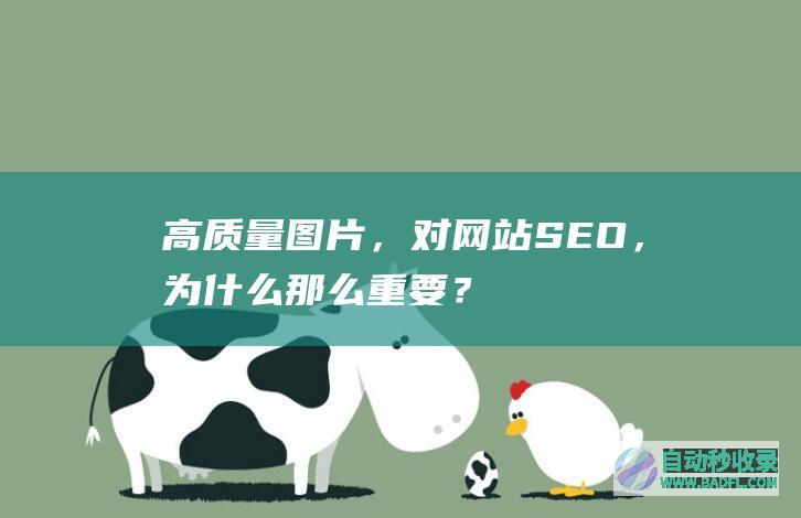 高质量图片，对网站SEO，为什么那么重要？