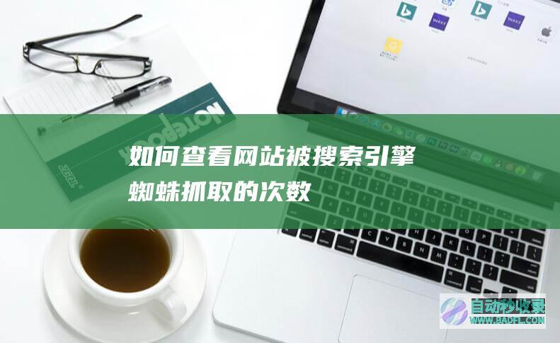 如何查看网站被搜索引擎蜘蛛抓取的次数