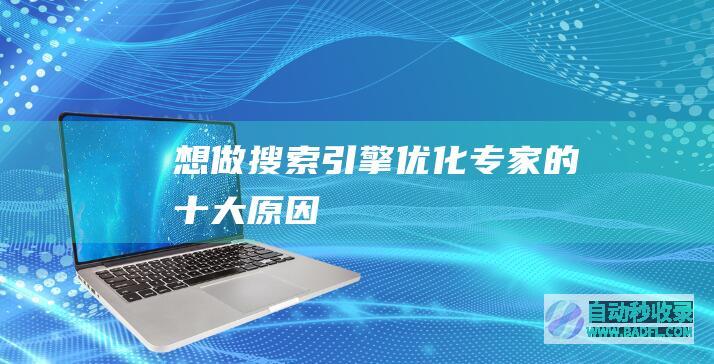 想做搜索引擎优化专家的十大原因