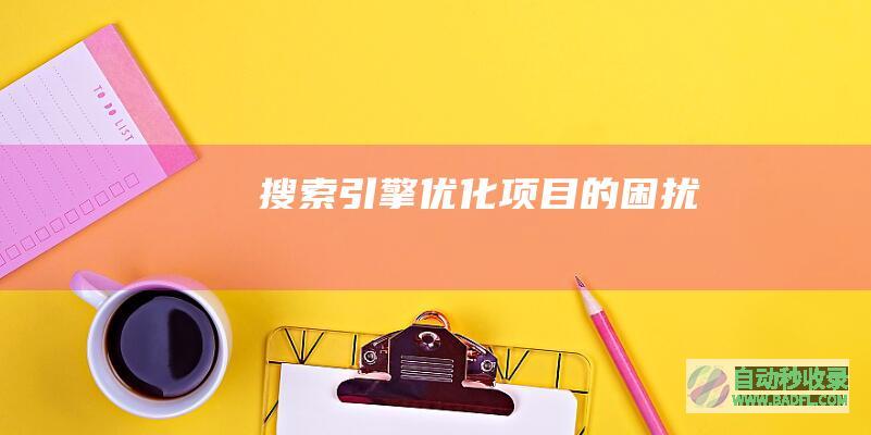 搜索引擎优化项目的困扰