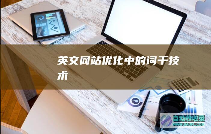 英文网站优化中的词干技术