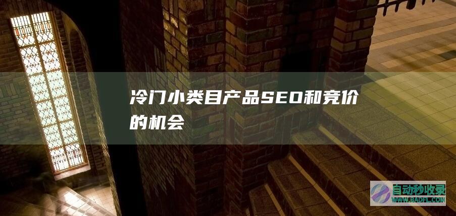 冷门小类目产品SEO和竞价的机会