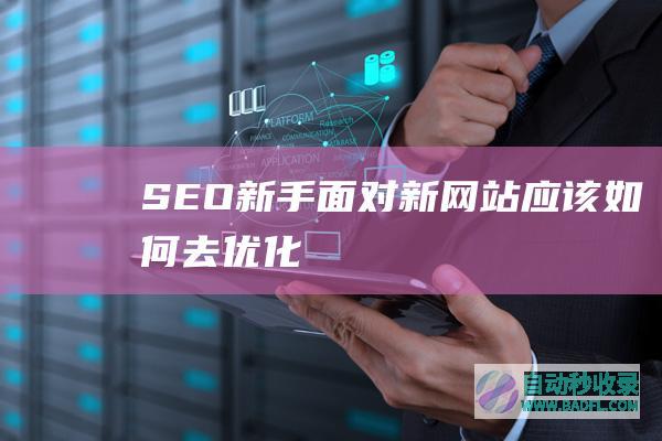 SEO新手面对新网站应该如何去优化