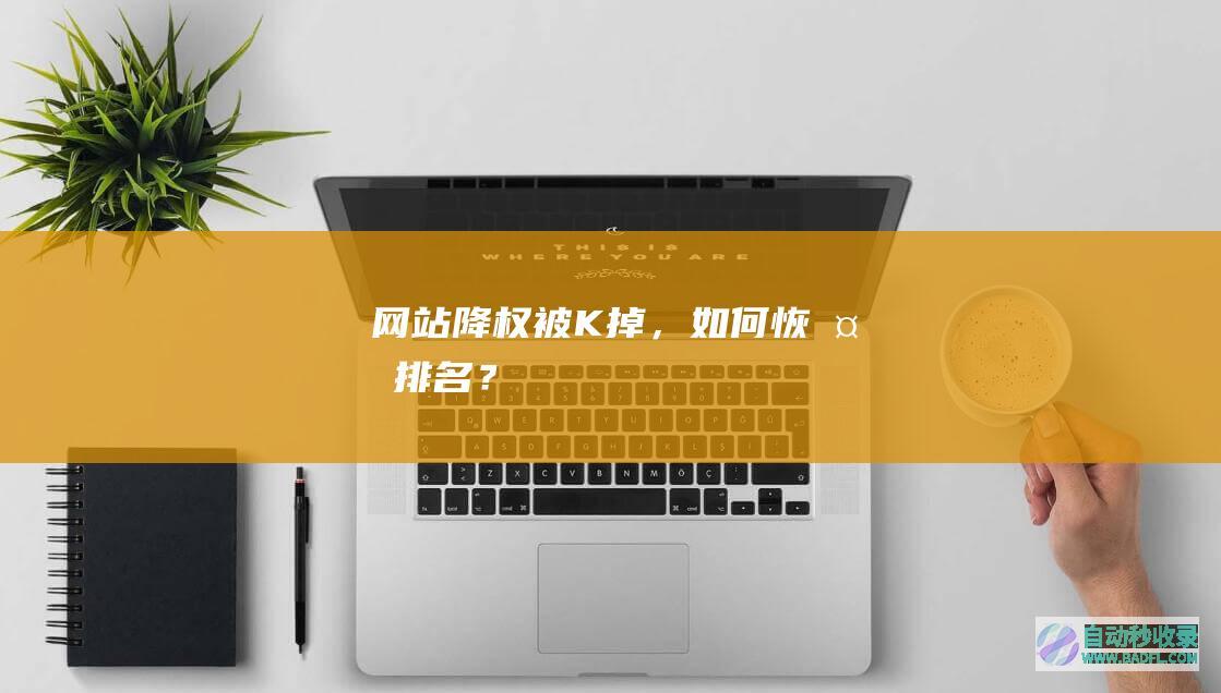 网站降权被K掉，如何恢复排名？