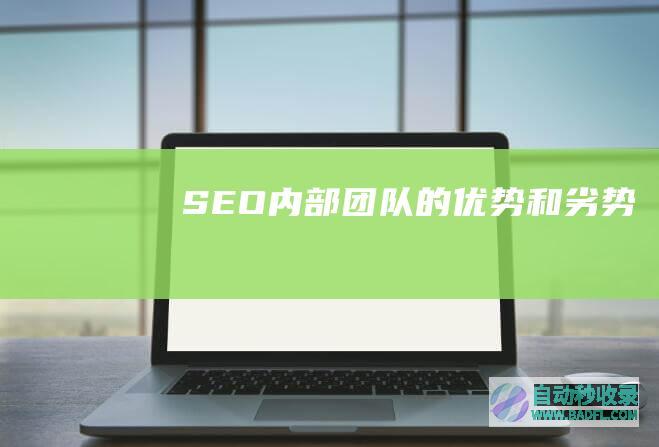 SEO内部团队的优势和劣势