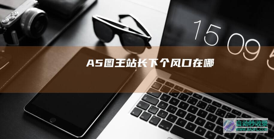 A5图王：站长下个风口在哪