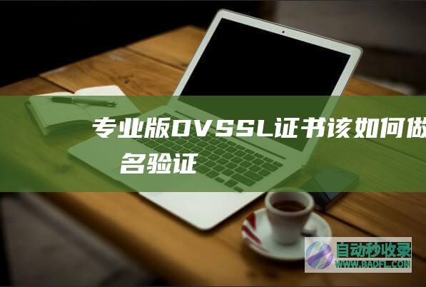 专业版DVSSL证书该如何做域名验证