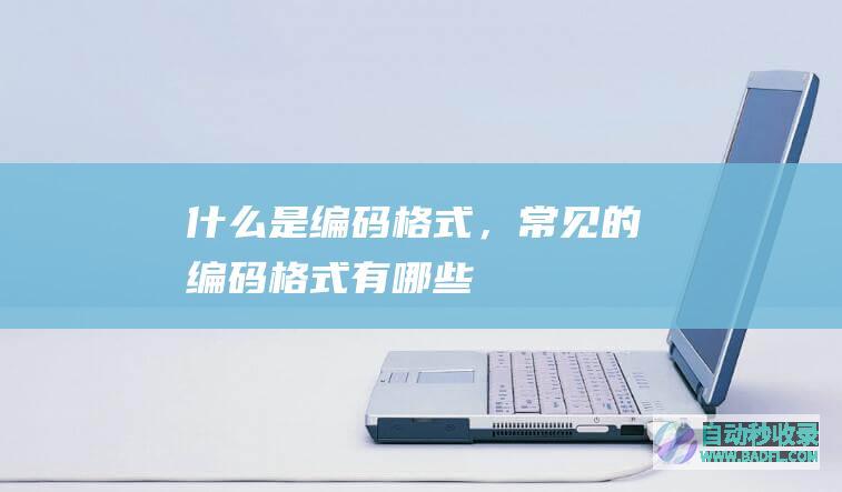 什么是编码格式，常见的编码格式有哪些