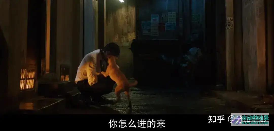 《怒火战猴》R级动作爽片,堪比疾速追杀,杀疯了!|好狗导航