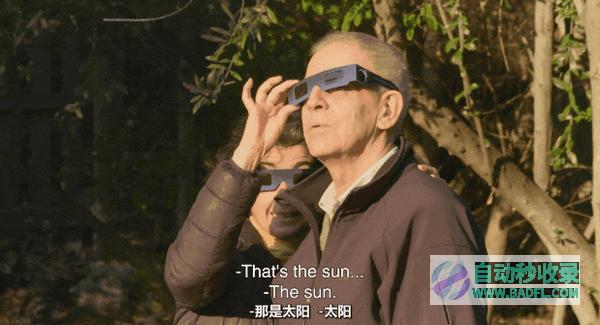 《永恒的记忆》豆瓣7.7，冷门佳作真实到让人泪崩！|好狗导航