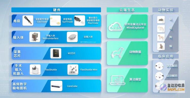 脑虎科技倾力打造「柔性脑机接口整体解决方案」