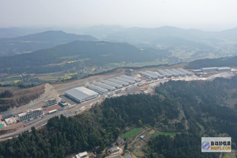 凤集食品集团入选农业产业化国家重点龙头企业推动中国蛋鸡产业高质量发展