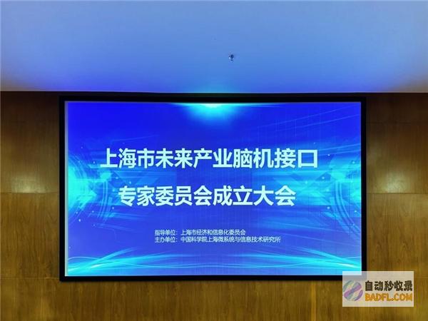 驱动产业创新升级上海市未来产业脑机接口专家委员会成立