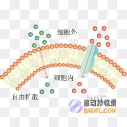 稳定扩散教程：使用 AI 艺术生成器创建令人惊叹的图像 (稳定扩散教程视频讲解)