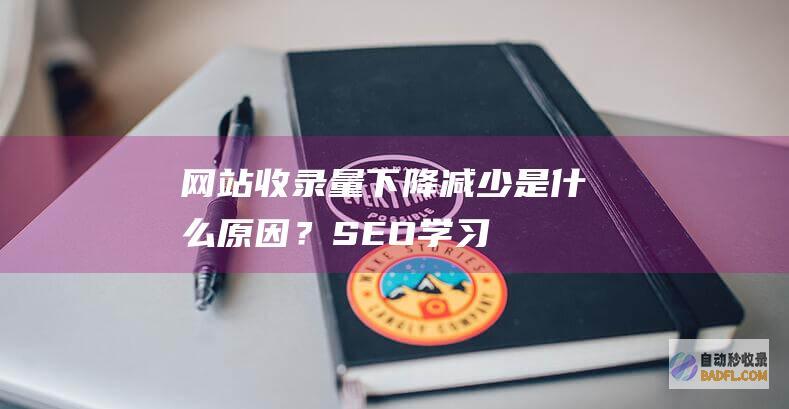 网站收录量下降减少是什么原因？-SEO学习