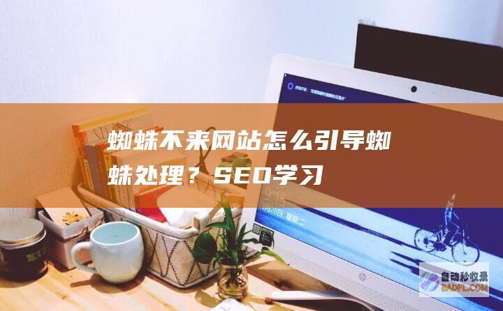 蜘蛛不来网站怎么引导蜘蛛处理？-SEO学习