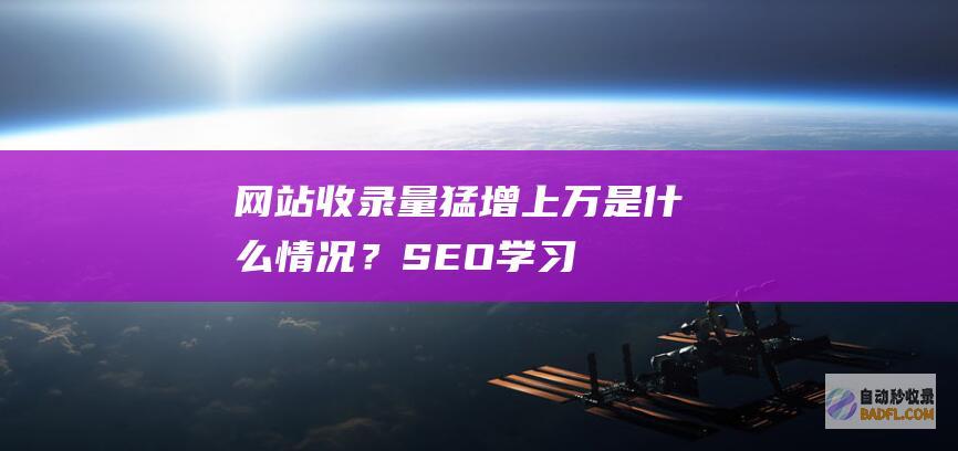 网站收录量猛增上万是什么情况？-SEO学习