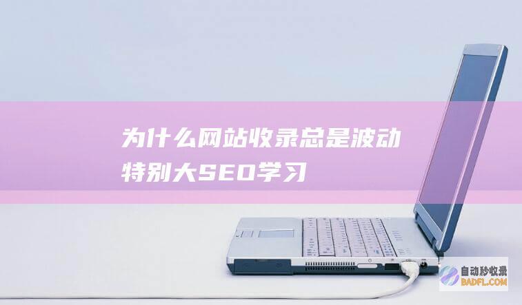 为什么网站收录总是波动特别大-SEO学习