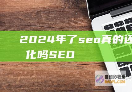 2024年了seo真的还有必要优化吗-SEO学习