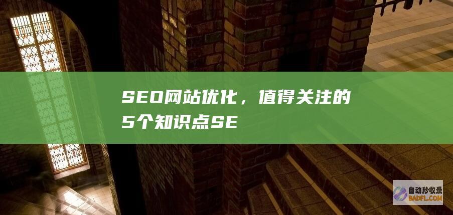 SEO网站优化，值得关注的5个知识点！-SEO学习