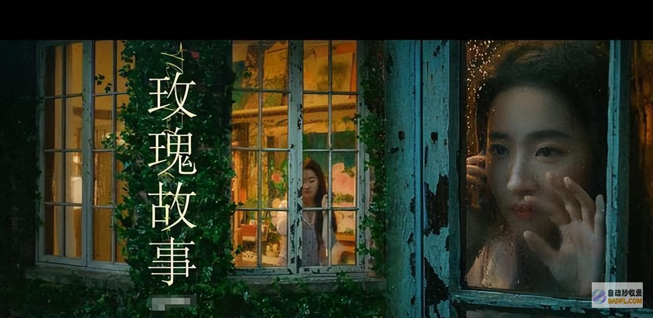 玫瑰的故事直到离婚黄亦玫才发现自己错得有多离