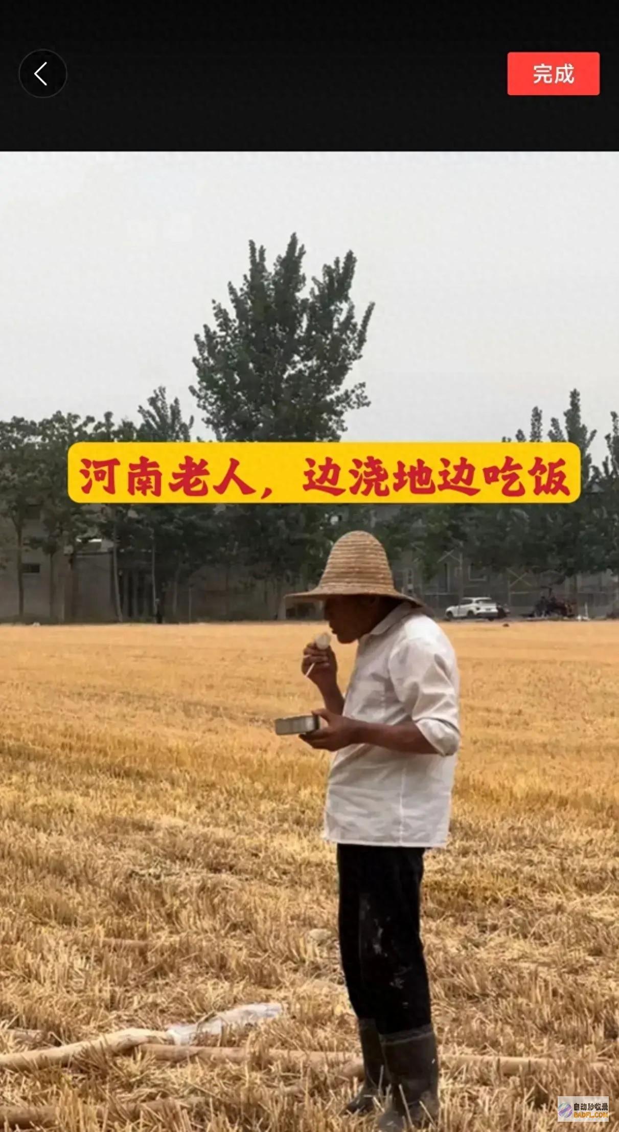 艰辛抗旱后续 央视追问实在旱情 抗旱处长发声 河南犯天条了吗 (艰辛抗旱后续怎么写)