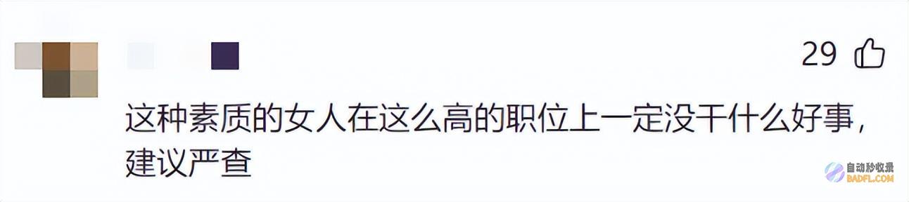 ampquot女车主身份被扒原来是个君子物摊上事了