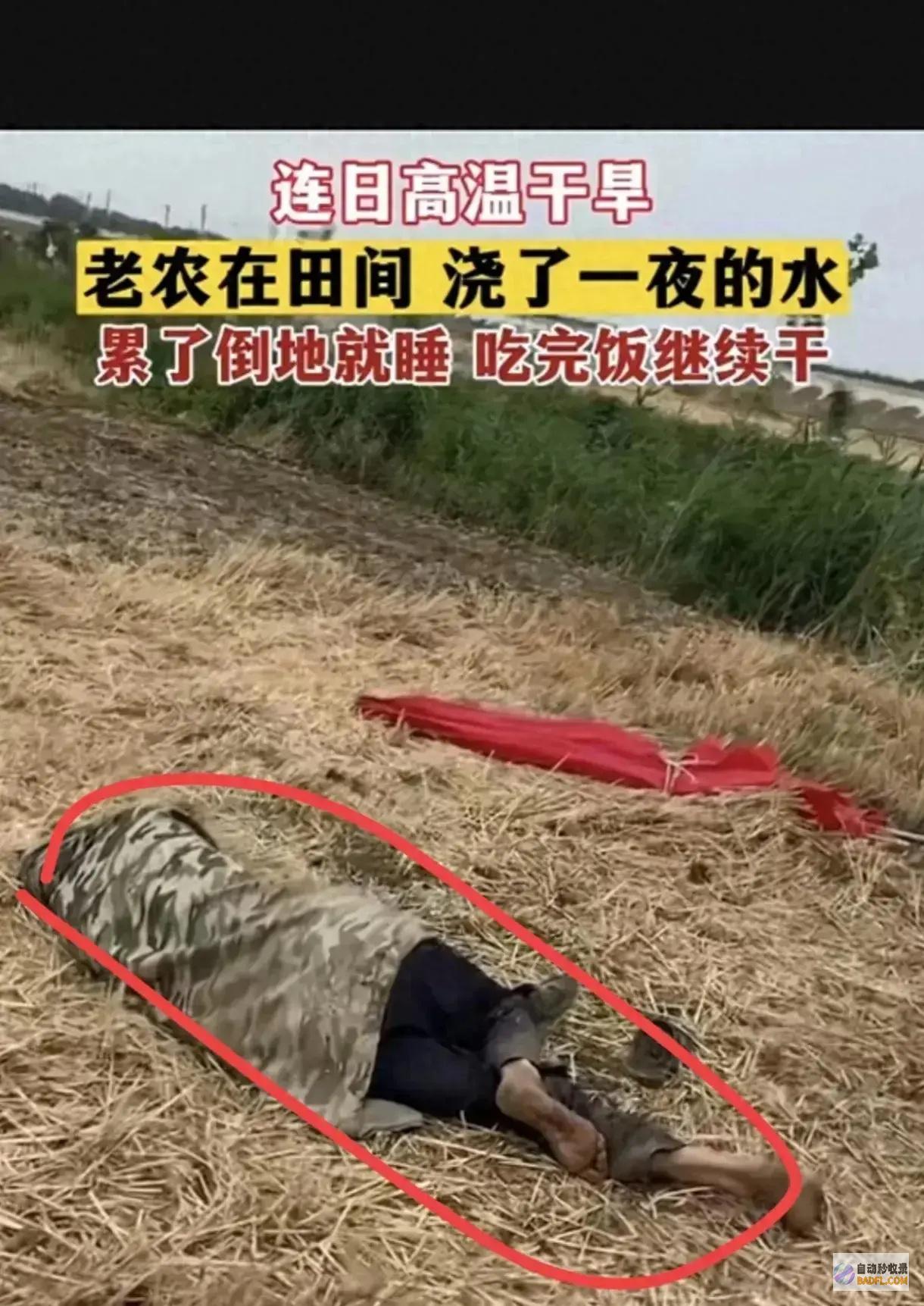 央视追问实在旱情艰辛抗旱后续抗旱处长发声