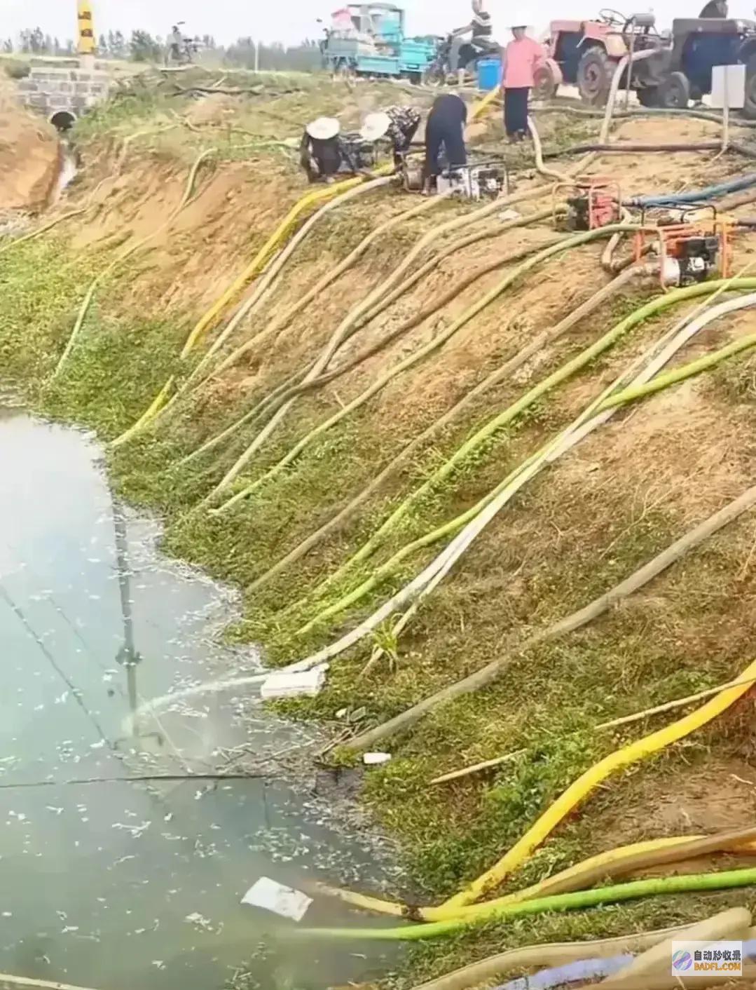 央视追问实在旱情艰辛抗旱后续抗旱处长发声