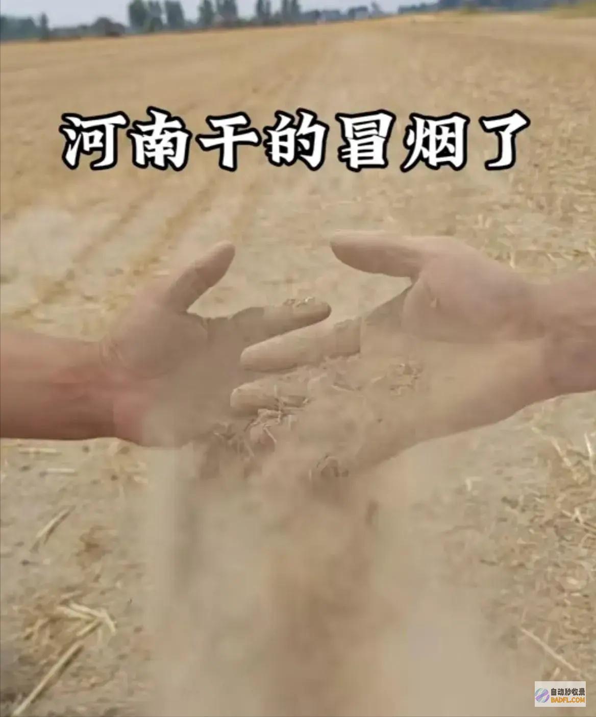 央视追问实在旱情艰辛抗旱后续抗旱处长发声