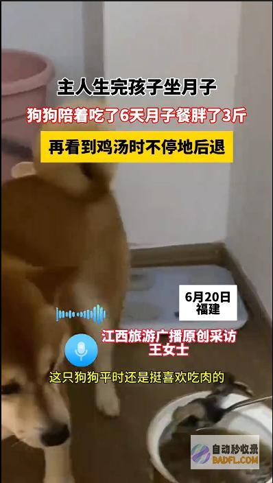 男性坐月子6天狗子给口屎吃吧笑麻了狗胖了三斤