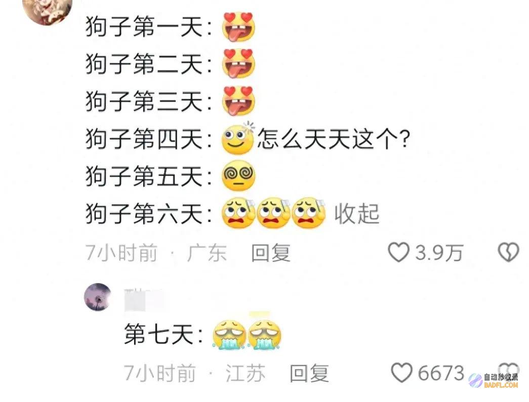 男性坐月子6天狗子给口屎吃吧笑麻了狗胖了三斤