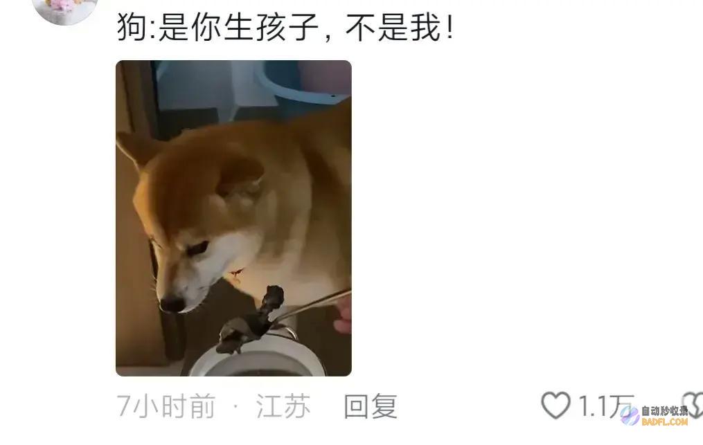男性坐月子6天狗子给口屎吃吧笑麻了狗胖了三斤