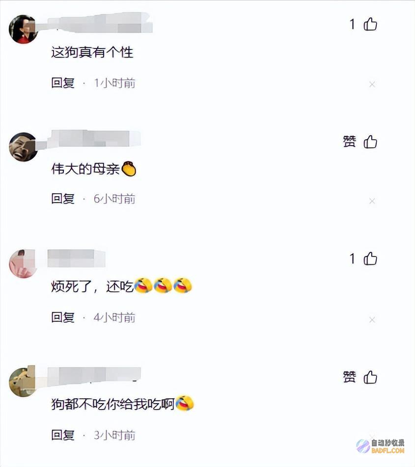 男性坐月子6天狗子给口屎吃吧笑麻了狗胖了三斤