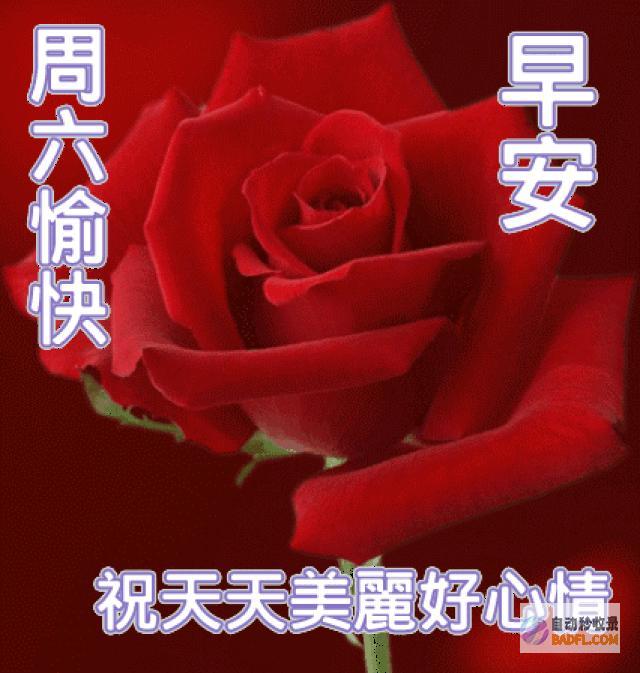 星期六 2024年6月22日 甲辰年五月十七 今天信息差 (星期六2023年免费观看)