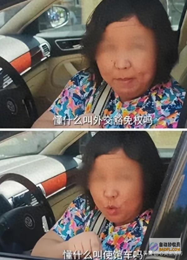 外交豁免权详细是指什么 余某究竟有没有所谓外交豁免权 (外交豁免权详细内容)