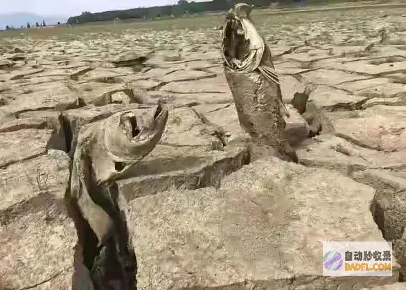 北边旱情没人问这个环球究竟怎样了南边洪灾没人