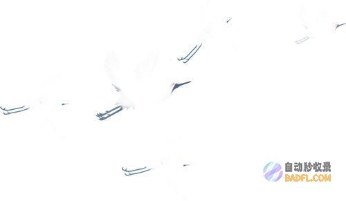 星空夜话星空夜话是哪个电台