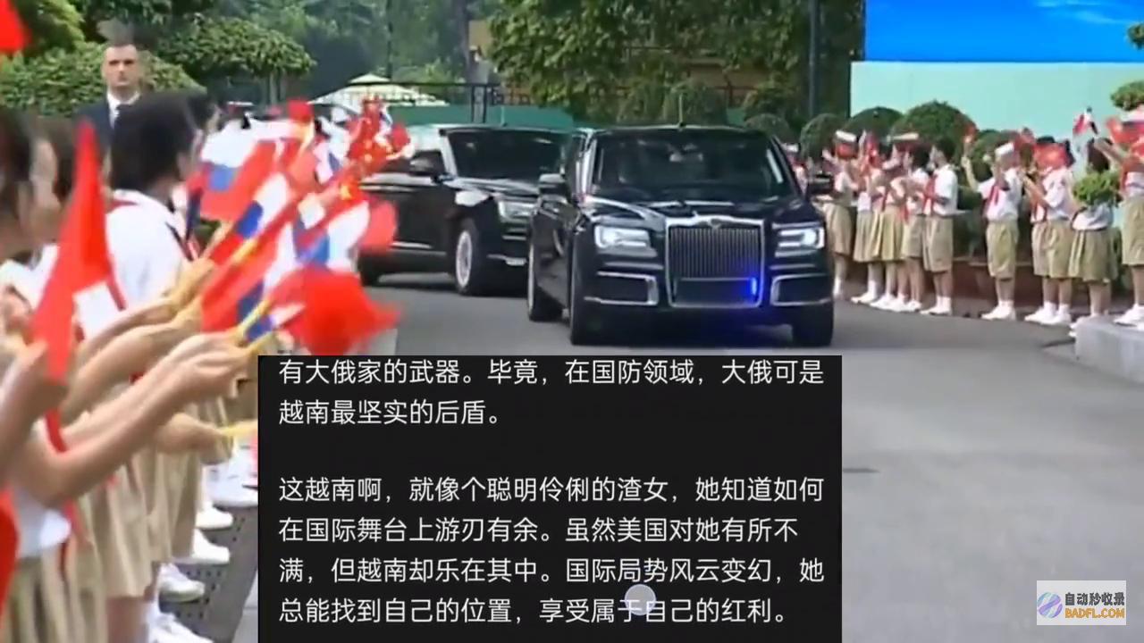 国内形势国内形势分析