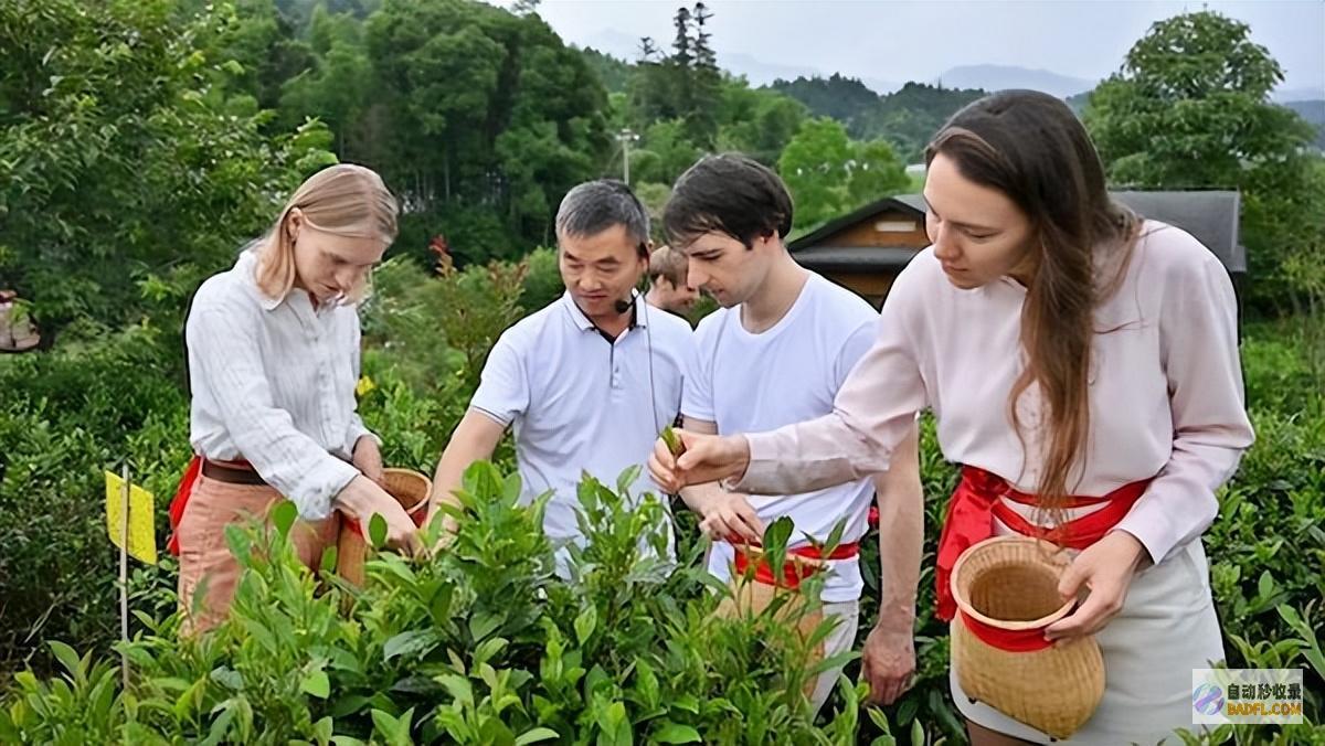 的码头从大山运往环球的没难度终点竟是