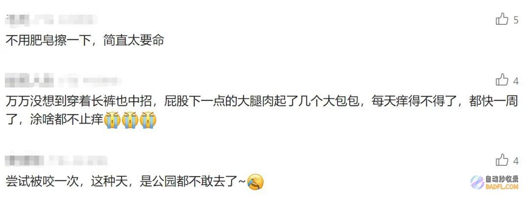 已到高发期也有人中招不少人晒出照片痒到解