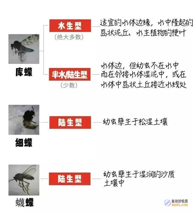 已到高发期也有人中招不少人晒出照片痒到解